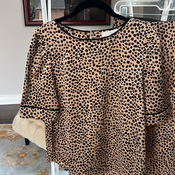 LOFT 2-pc animal print (S) top - Picture 5 of 5